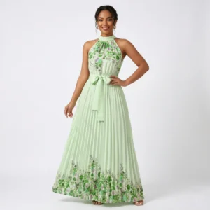 Robe Longue de Soirée Plissée